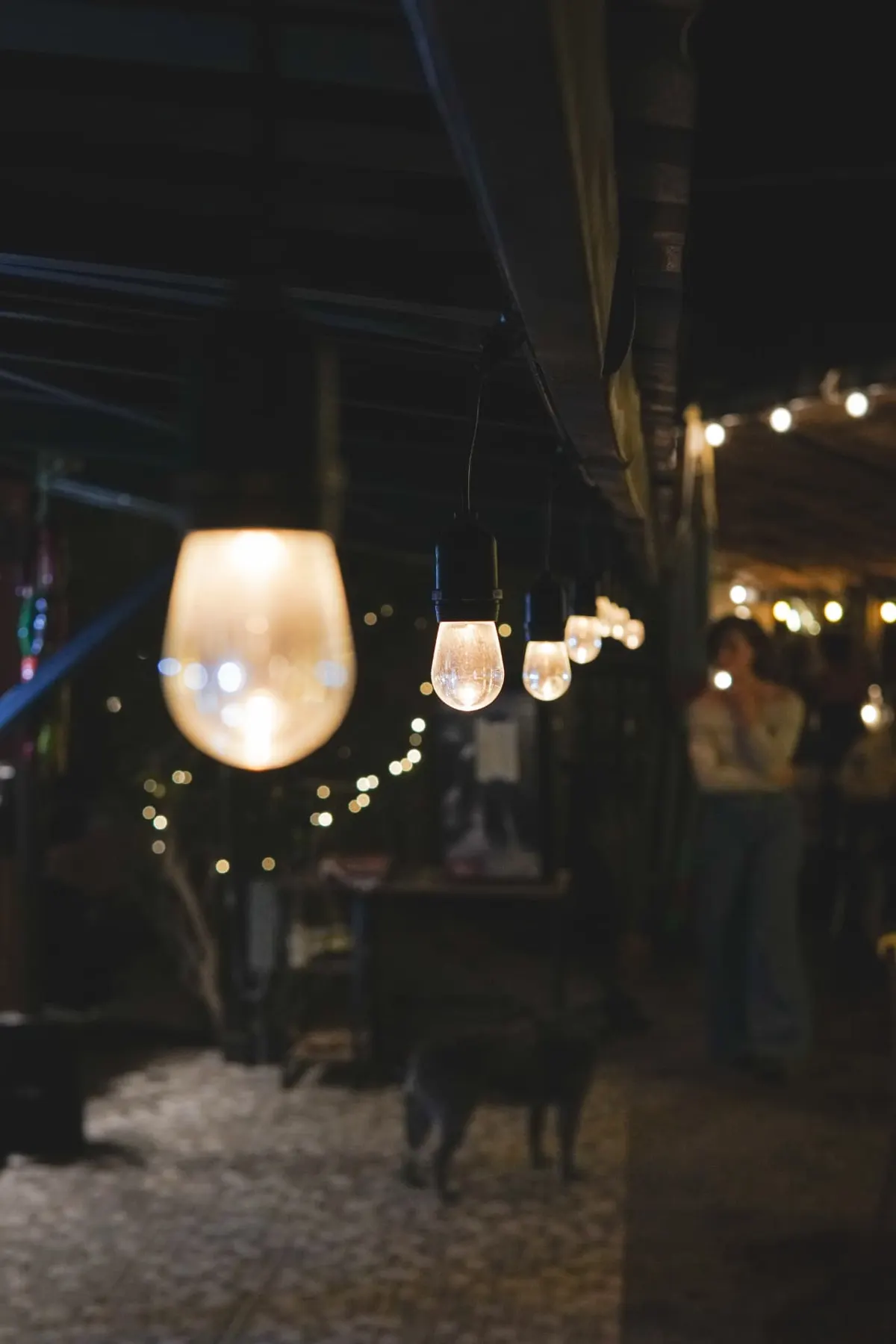 Lanterns glowing over the garden path at Cebollajo